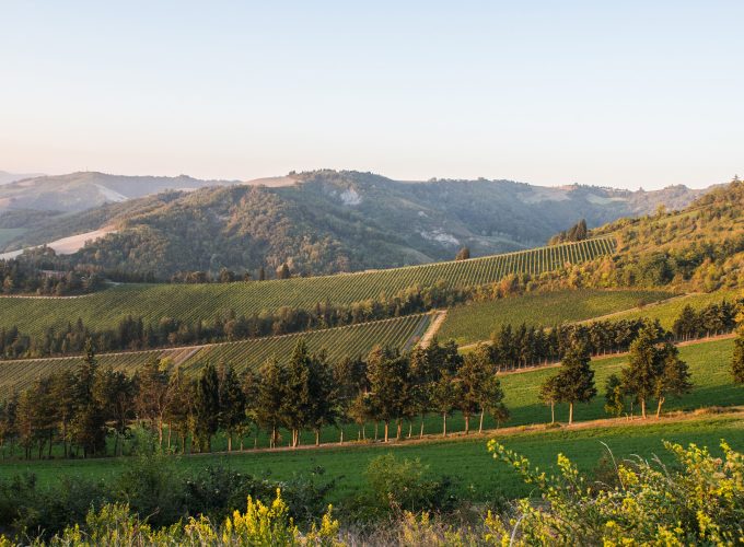 Le visite in vigna non sono mai state cosi divertenti