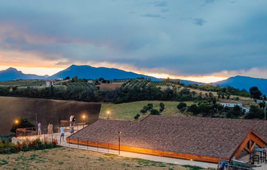 Tour in Cantina e Degustazione Guidata di 4 Vini