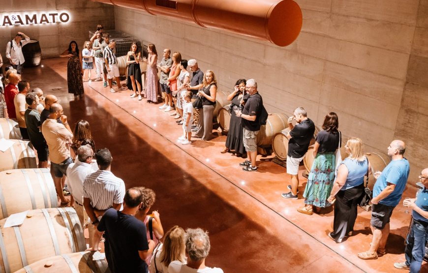 Tour in Cantina e Degustazione Guidata di 4 Vini