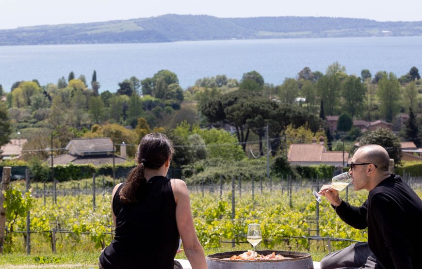 TOUR E DEGUSTAZIONE CANTINE CAPITANI