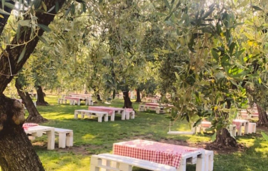 Picnic al Chiar di Luna