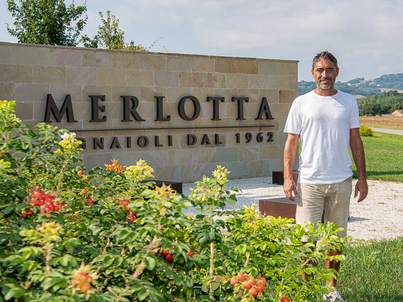 Le visite in vigna non sono mai state cosi divertenti