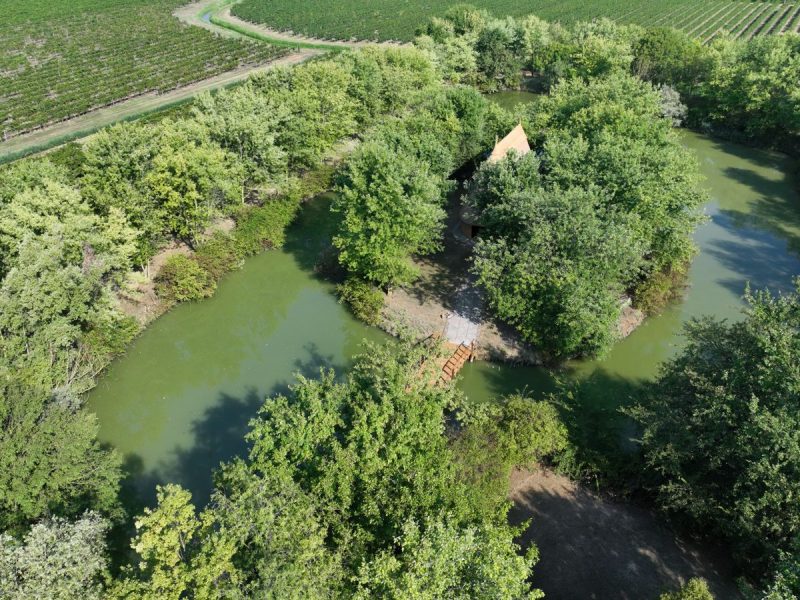 Le visite in vigna non sono mai state cosi divertenti