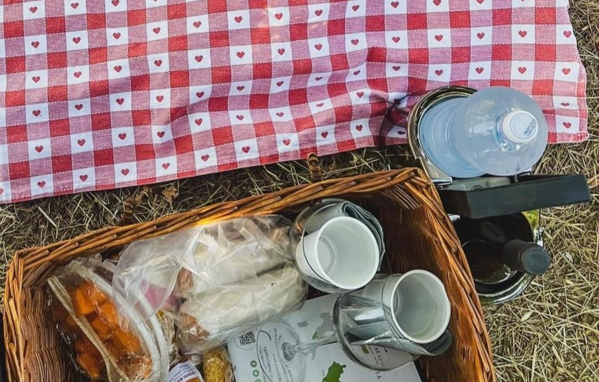 Pic nic nel vigneto