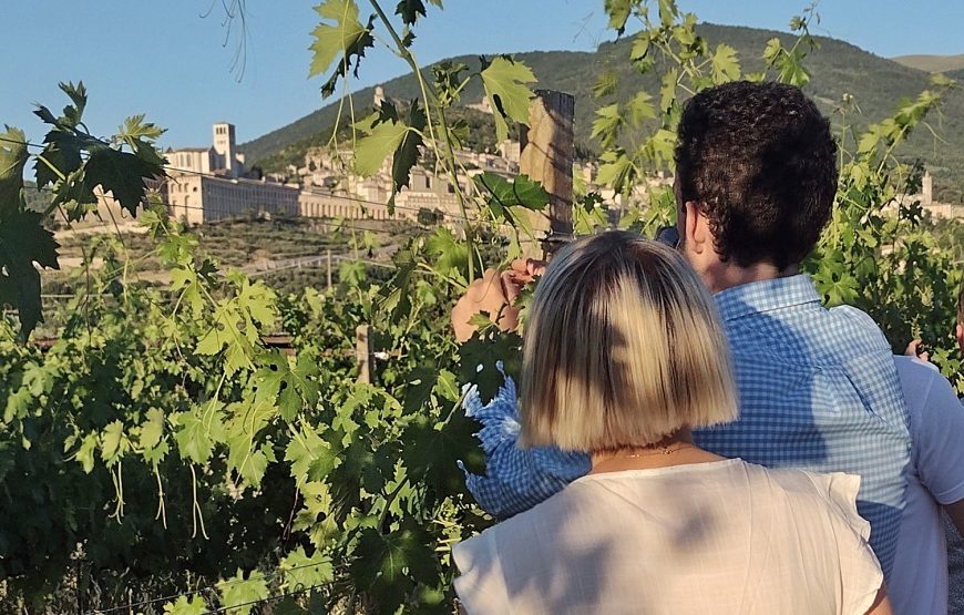 Pic nic nel Vigneto di Assisi con degustazione guidata di vino