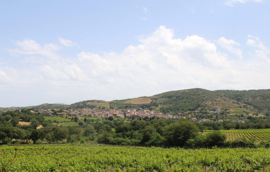 Degustazione di Cannonau nel cuore della Barbagia: visita alla Cantina Mussennore di Mamoiada