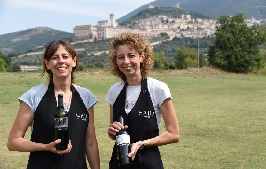 Pic nic nel Vigneto di Assisi con degustazione guidata di vino