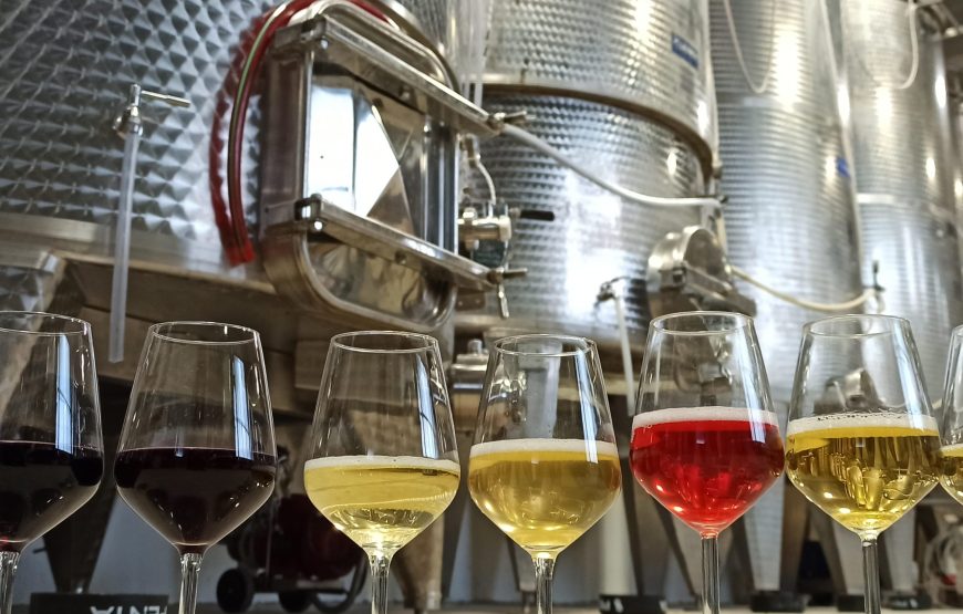 Visita della cantina con il vignaiolo e degustazione dei nostri vini.