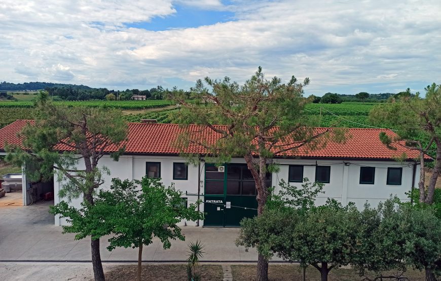 Visita della cantina con il vignaiolo e degustazione dei nostri vini.