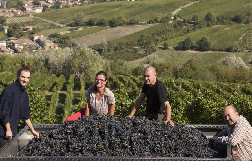 Vedere e capire come nasce una bottiglia di vino.