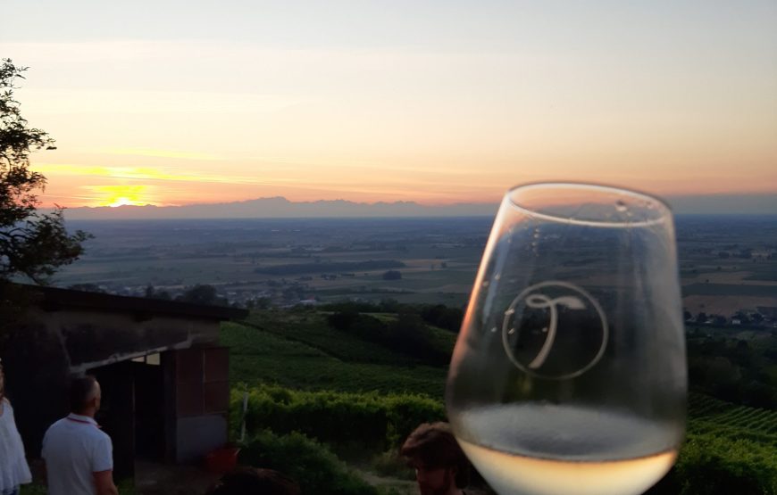 Vedere e capire come nasce una bottiglia di vino.