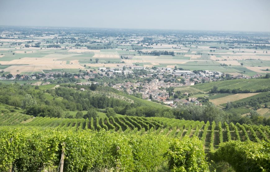 Vedere e capire come nasce una bottiglia di vino.