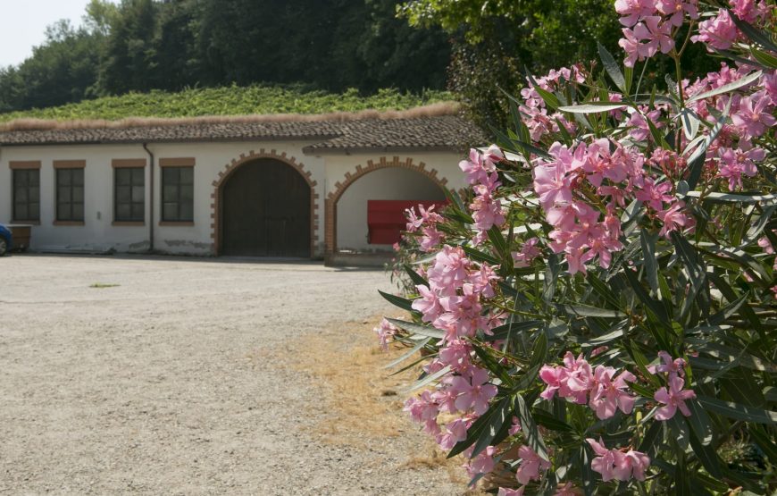 Vedere e capire come nasce una bottiglia di vino.