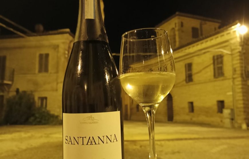 Cantina Valdimiro  “Viaggio a Sant’Anna” giro turistico dei vigneti e degustazione