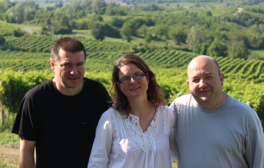 Vedere e capire come nasce una bottiglia di vino.