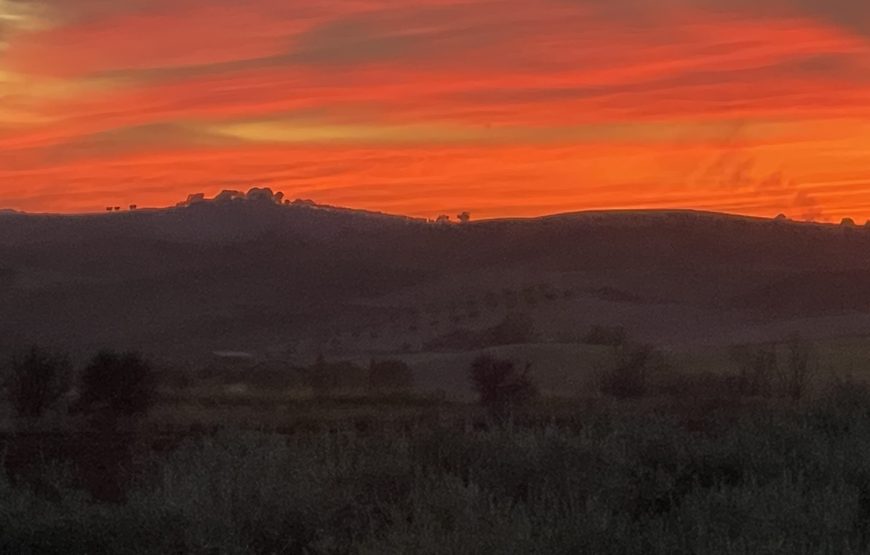 Passione Maremma. Due Chiacchiere in cantina e degustazione dei nostri vini.