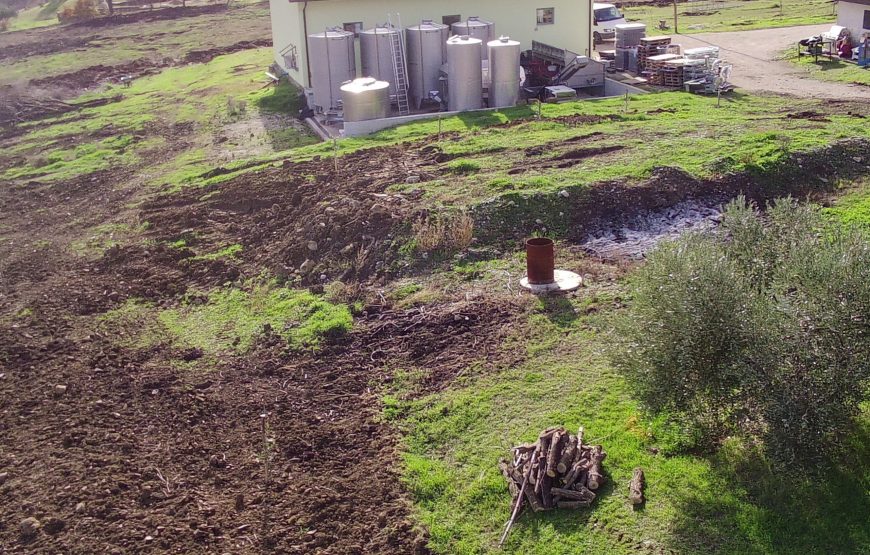 Passione Maremma. Due Chiacchiere in cantina e degustazione dei nostri vini.