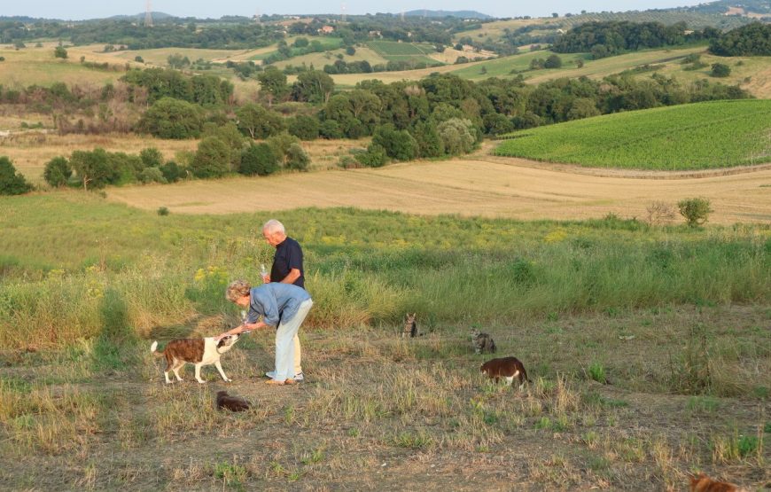 Passione Maremma. Due Chiacchiere in cantina e degustazione dei nostri vini.