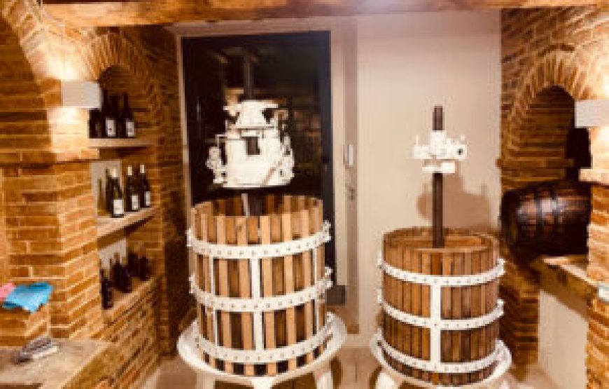 Visita della cantina e degustazione di 3 vini e Passito – Umbria IGT