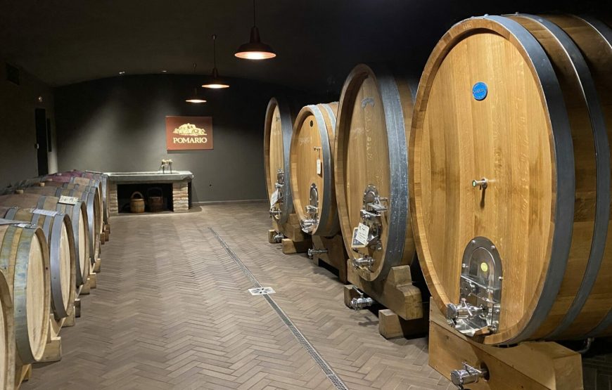 Tenuta Pomario Degustazione semplice 4 vini e olio di nostra produzione.